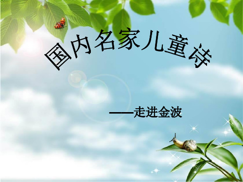 晨诵 金波诗歌《凝视一朵花》