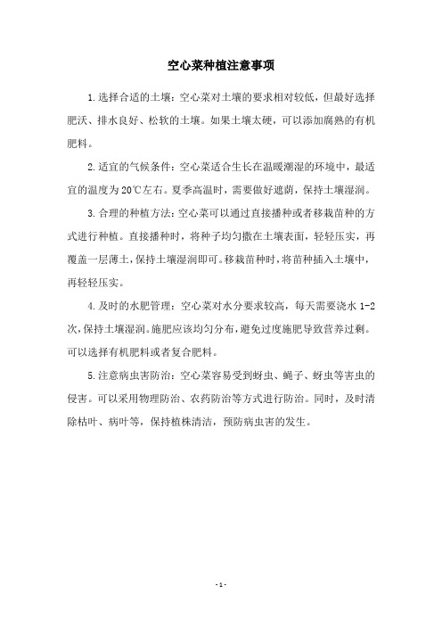 空心菜种植注意事项