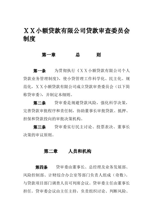 小额贷款有限公司贷款审查委员会制度