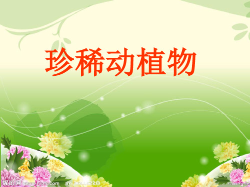 四年级下册科学珍稀动植物青岛版