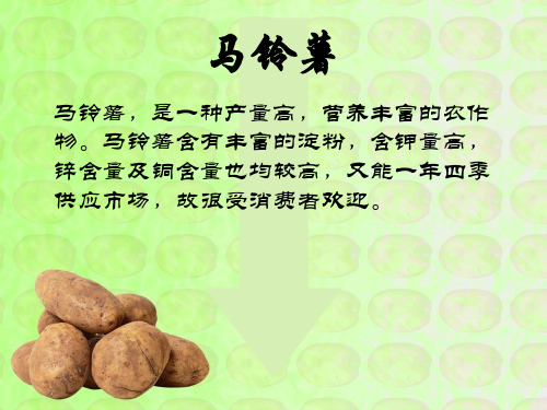 马铃薯储藏保鲜技术