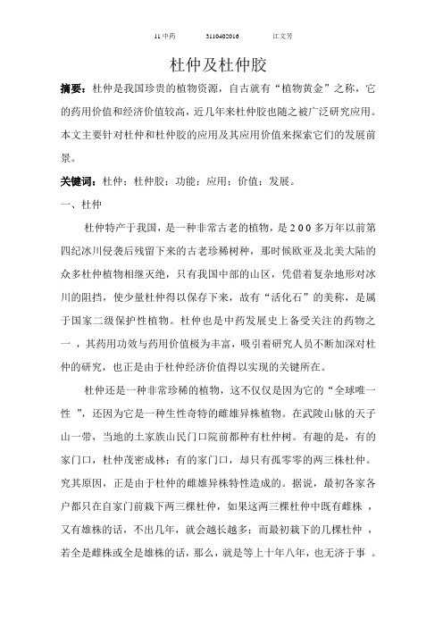 杜仲及杜仲胶的发展前景、