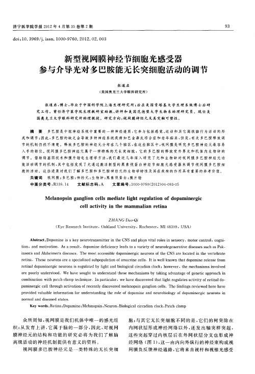 新型视网膜神经节细胞光感受器参与介导光对多巴胺能无长突细胞活动的调节