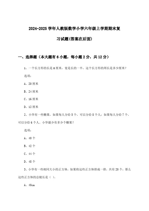 2024-2025学年人教版小学六年级上学期期末数学试题与参考答案