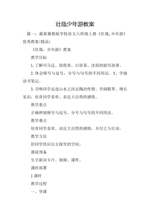 壮哉少年游教案