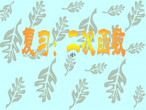 二次函数复习