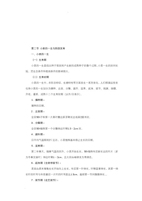 小麦的一生与阶段发育
