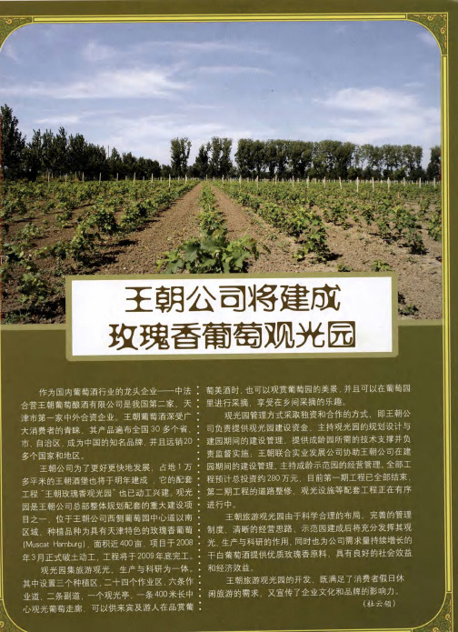 王朝公司将建成玫瑰香葡萄观光园