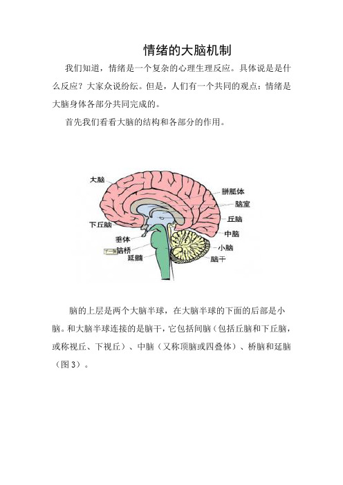 情绪的大脑机制