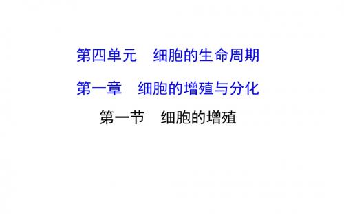 高考生物一轮复习-必修1 第四单元 细胞的生命周期1 PPT课件