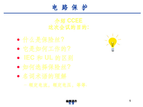 保险丝选型实例ppt课件