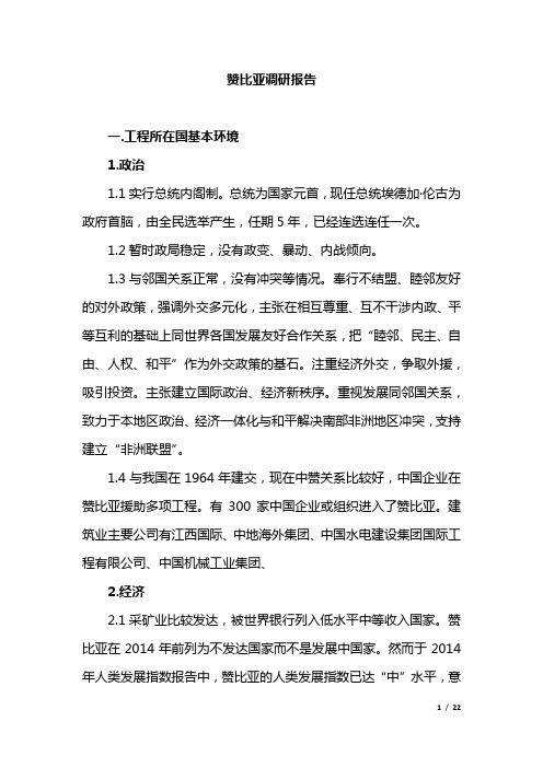 赞比亚项目考察汇报