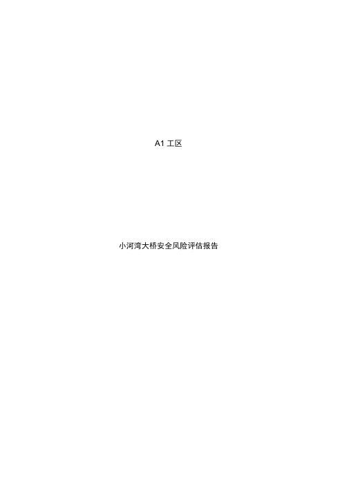 大桥安全风险评估报告