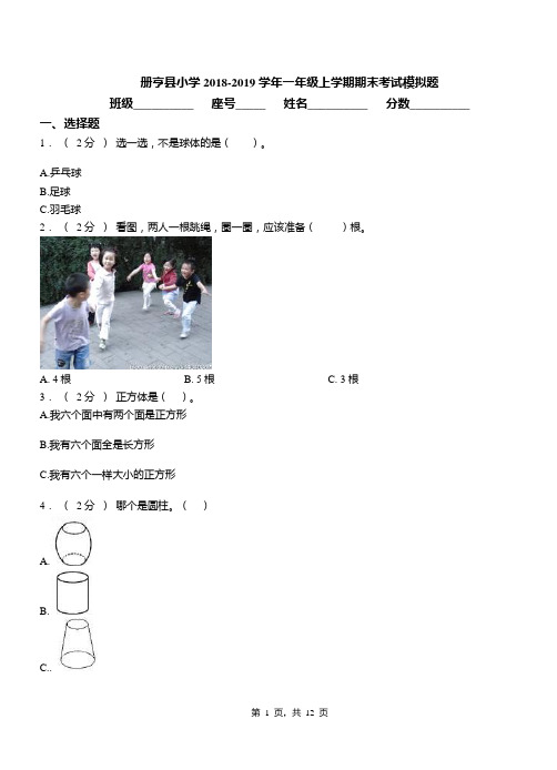 册亨县小学2018-2019学年一年级上学期期末考试模拟题