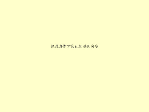 普通遗传学第五章 基因突变