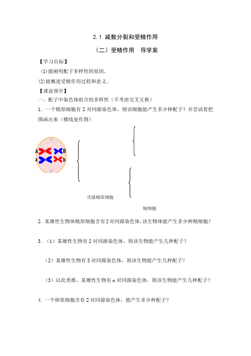 高一生物必修二 第二章第一节 《 减数分裂和受精作用》第三课时导学案+随堂练习 (含答案)