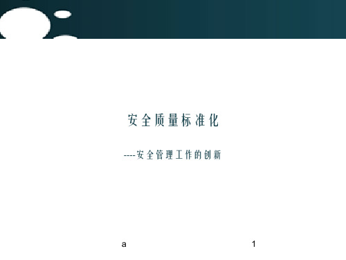 安全质量标准化(讲稿)