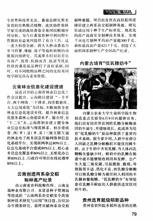 贵州选育超级稻新品种
