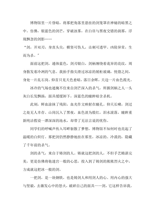 关于剑的作文精选范文