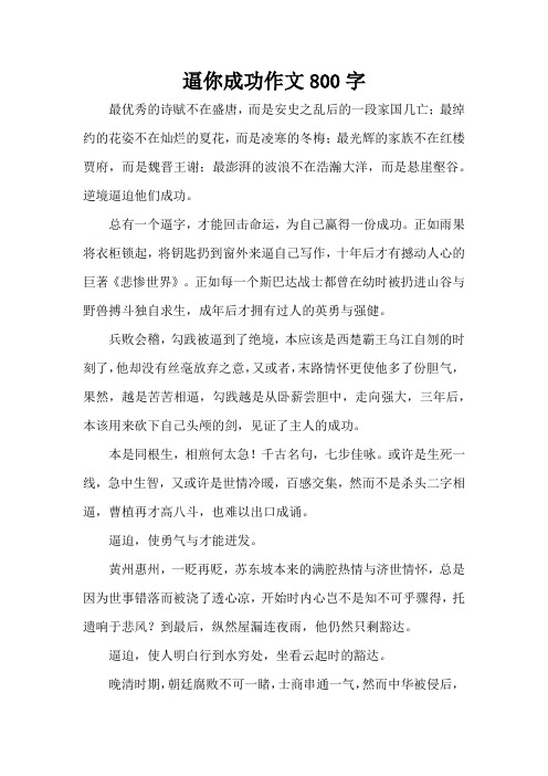 逼你成功作文800字_2(精编版)