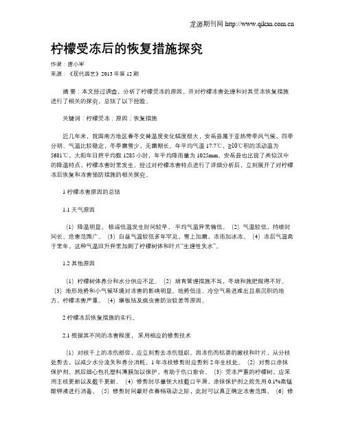 柠檬受冻后的恢复措施探究
