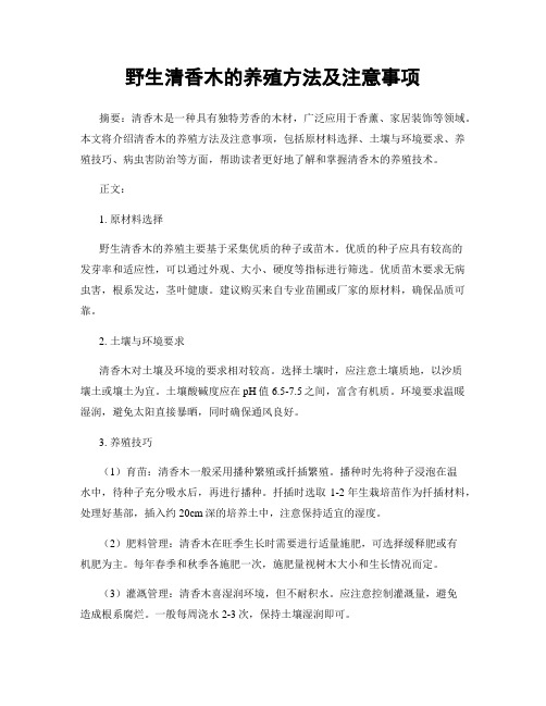 野生清香木的养殖方法及注意事项