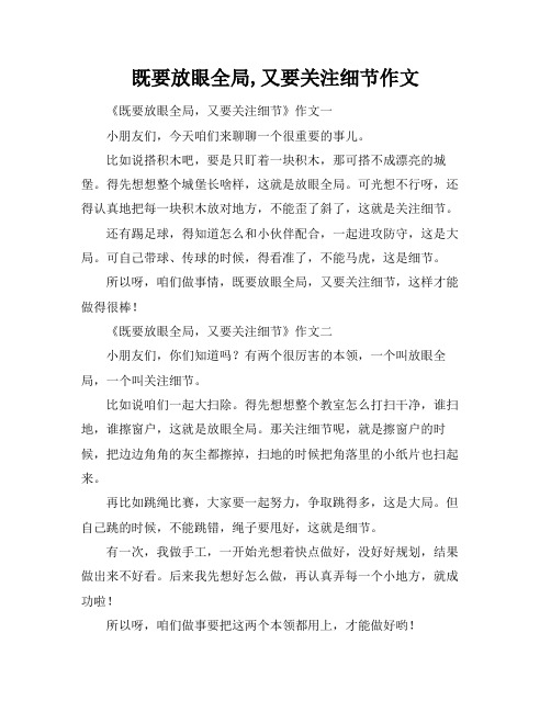 既要放眼全局,又要关注细节作文
