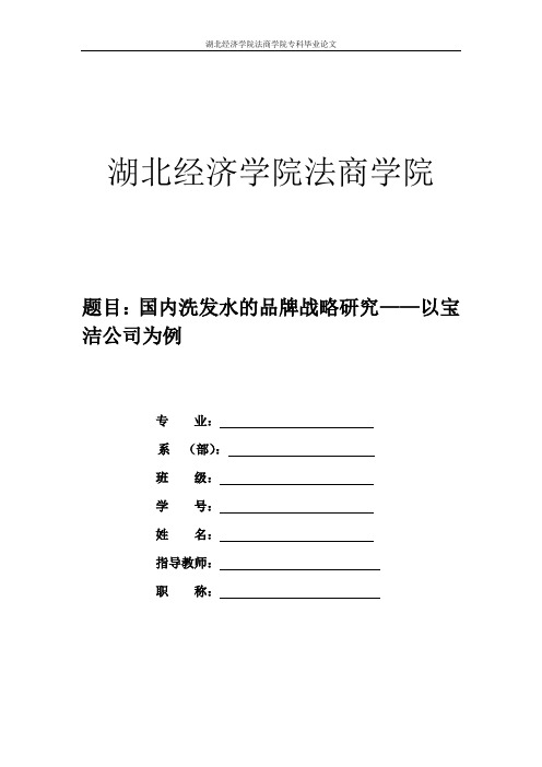 国内洗发水的品牌战略研究——以宝洁公司为例