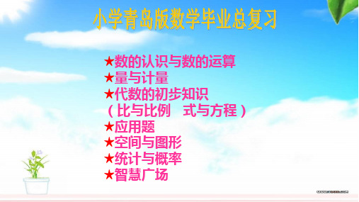 青岛版六下小学数学期末总复习