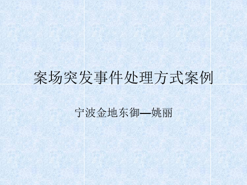 案场突发事件处理方式案例.ppt
