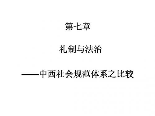 第七章 规范比较