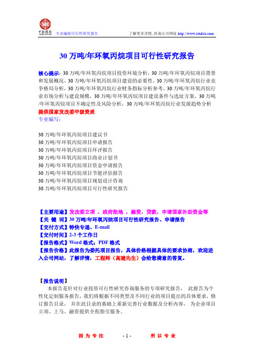 30万吨 年环氧丙烷项目可行性研究报告