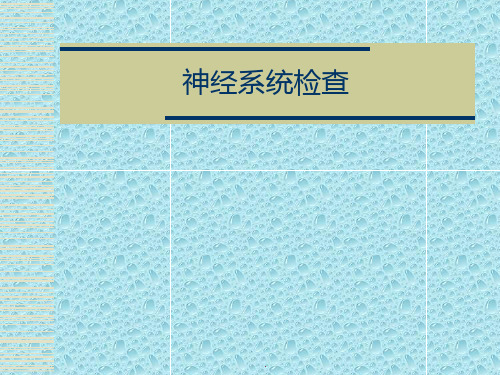 神经查体_精品文档