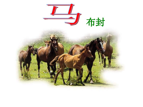 人教版初中语文七年级下册7下《马》PPT课件