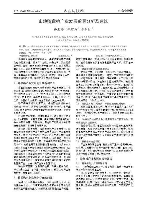山地猕猴桃产业发展前景分析及建议