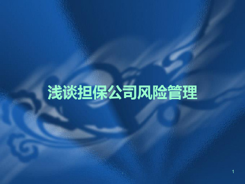 浅谈担保公司风险管理PPT课件