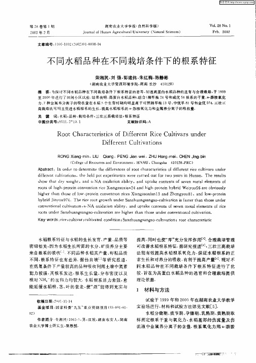 不同水稻品种在不同栽培条件下的根系特征