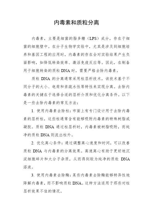 内毒素和质粒分离