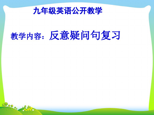 人教版英语九全 Unit 8 Section A(反义疑问句)复习课件(共30张PPT).ppt