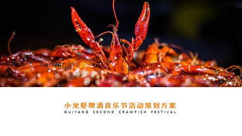 小龙虾啤酒节：XX小龙虾啤酒音乐节活动策划方案