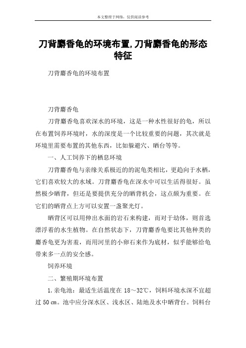 刀背麝香龟的环境布置,刀背麝香龟的形态特征