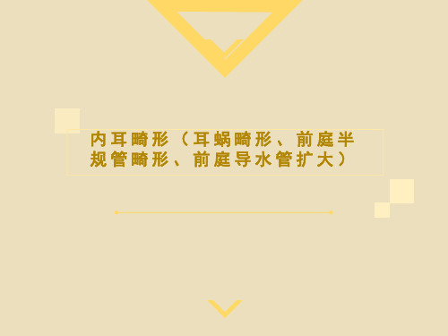 内耳畸形耳蜗畸形前庭半规管畸形前庭导水管扩大影像诊断