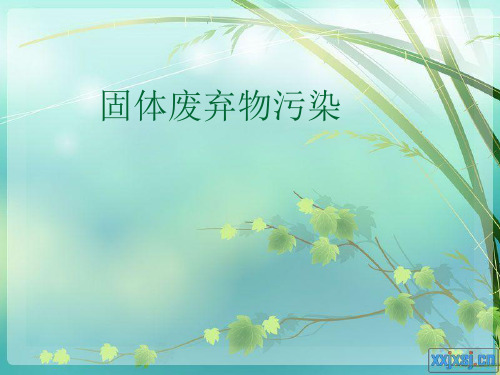 固体废弃物污染ppt