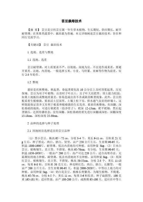 芸豆栽培技术