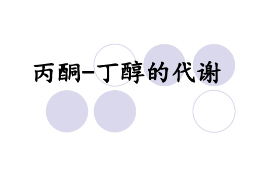 丙酮丁醇的代谢