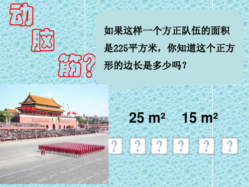 初中数学《平方根》精品ppt北师大版1