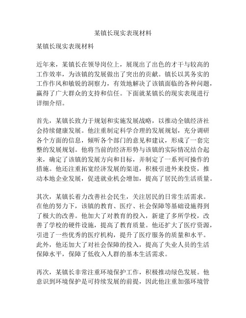 某镇长现实表现材料
