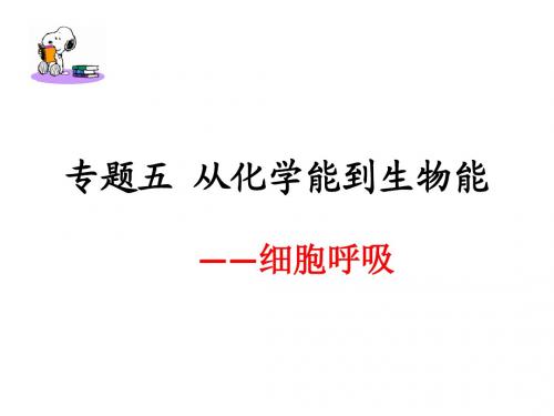 专题五 呼吸作用