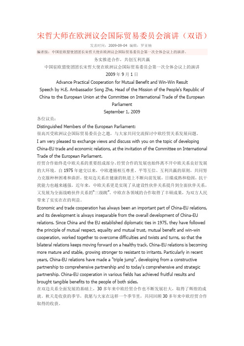 宋哲大师在欧洲议会国际贸易委员会演讲(转)