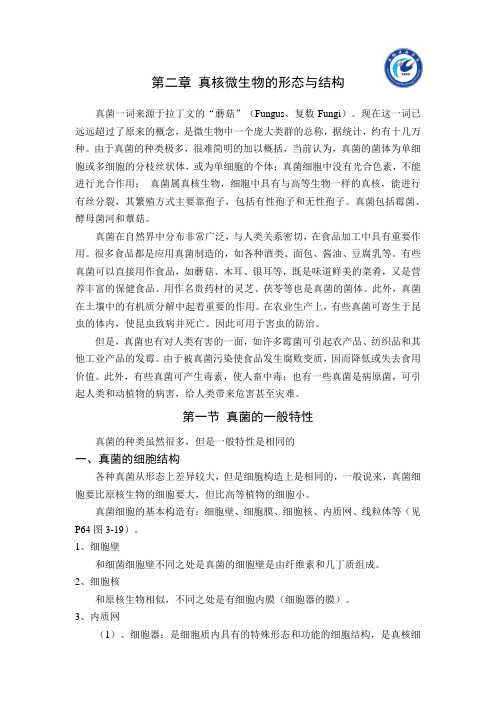 真核微生物的形态与结构